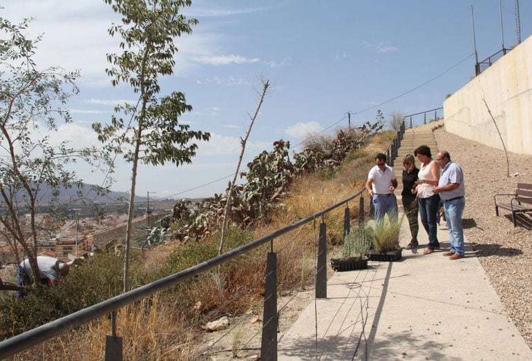 La alcaldesa, Mari Ángeles Túnez, visitando las labores de revegetación en el entorno del castillo de Nogalte