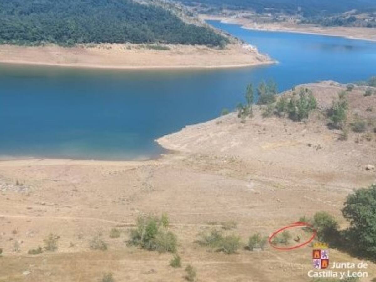 Rescatan a un senderista indispuesto en la Senda del Oso, en Cervera de Pisuerga