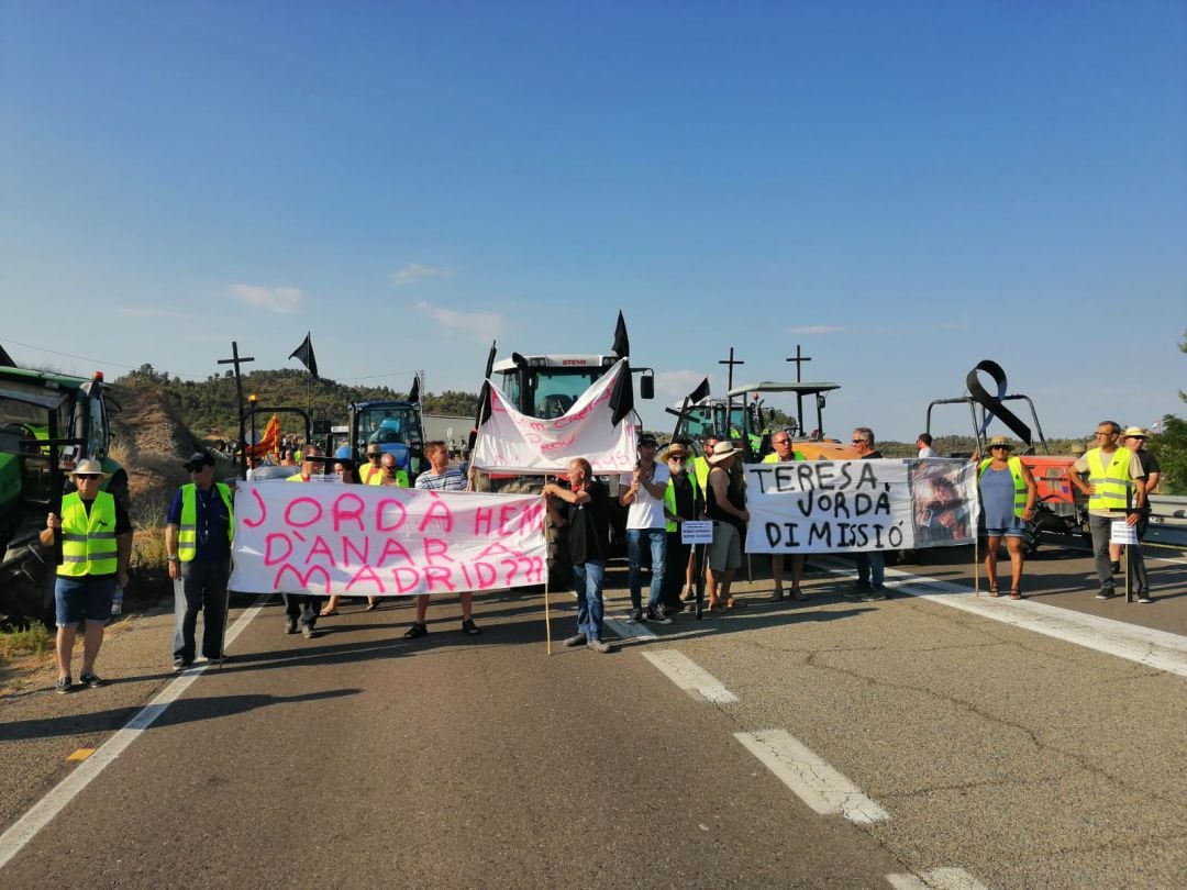 El tall de la C-12 a Flix ha anat acompayat aquest cop de creus negres, llaços negres i pancartes demanant la dimissió de la consellera.