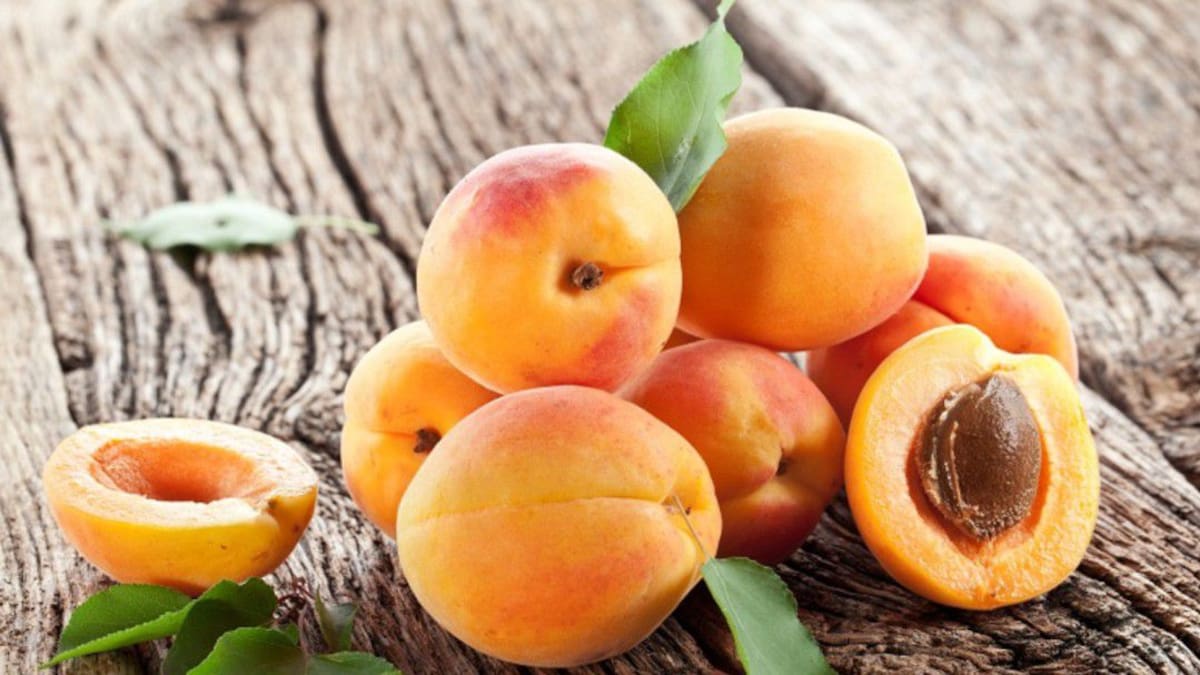 Beneficios de la achicoria y la receta de la tarta de albaricoque