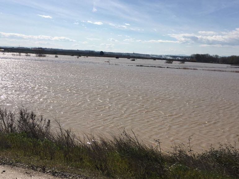 El Ebro, a su paso por Alagón