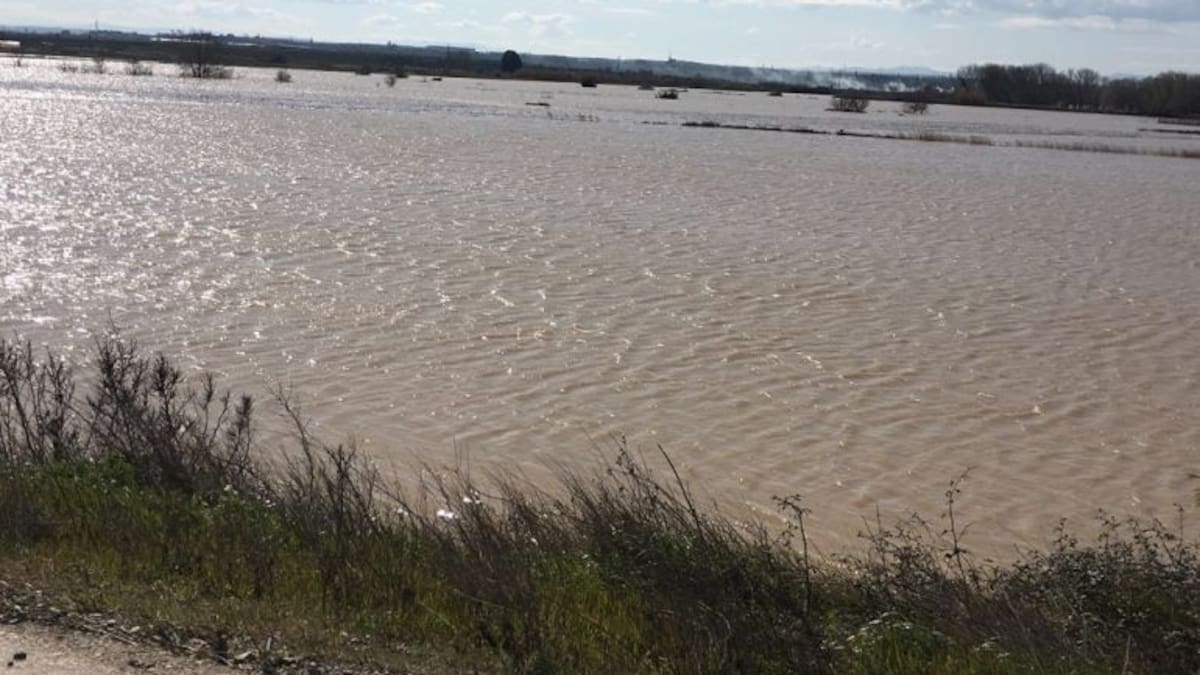 En la ribera respiran tranquilos