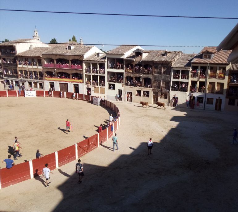 Los dos toros por fuera del ruedo