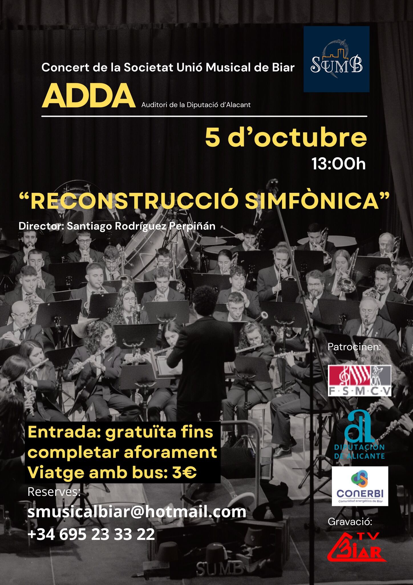 Cartel del concierto