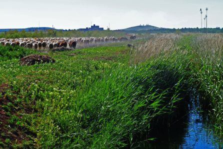 Canal que une La Veguilla con el Camino de Villafranca