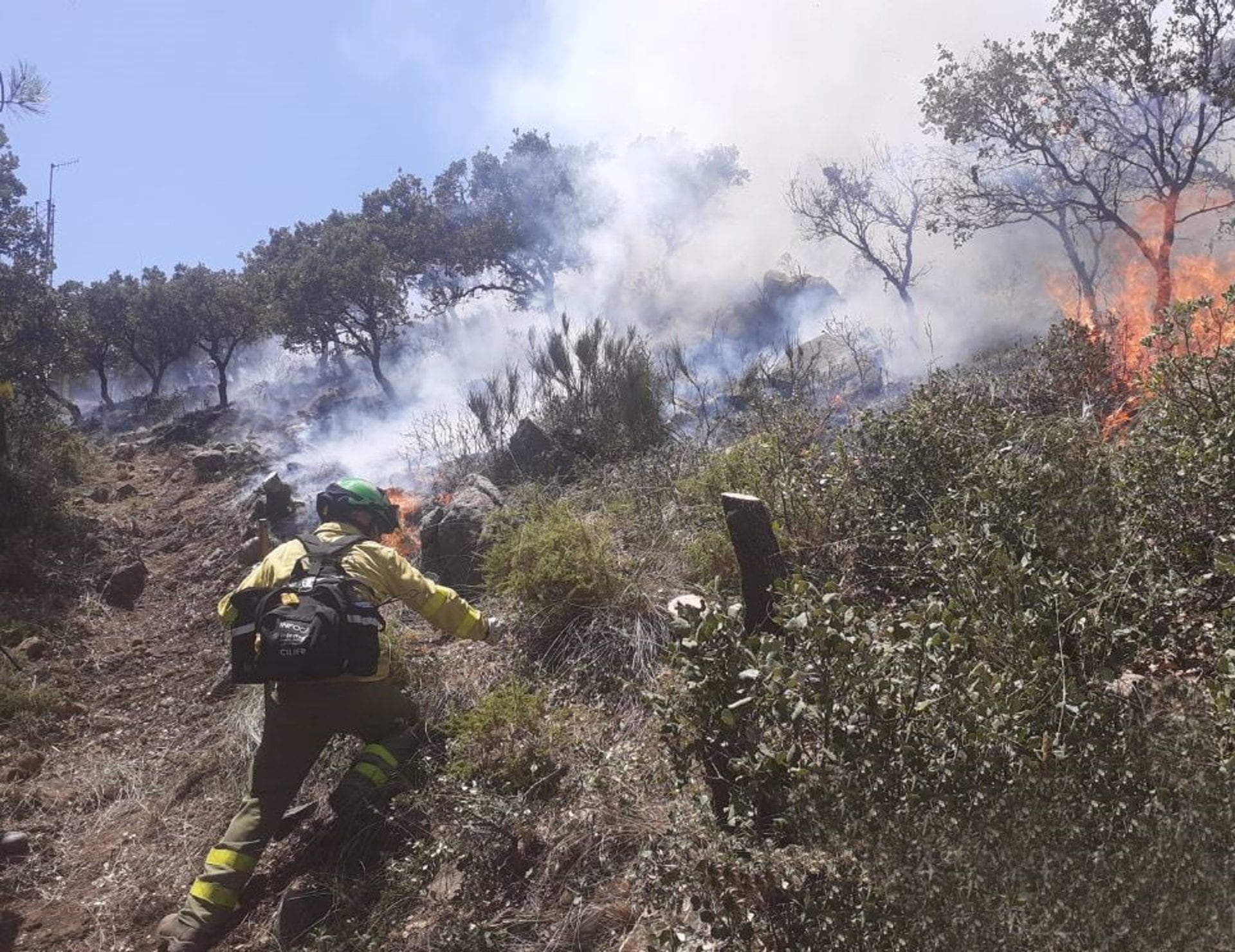 Archivo - Bomberos del Infoca trabajan en la extinción de un incendio. Archivo. - JUNTA DE ANDALUCÍA