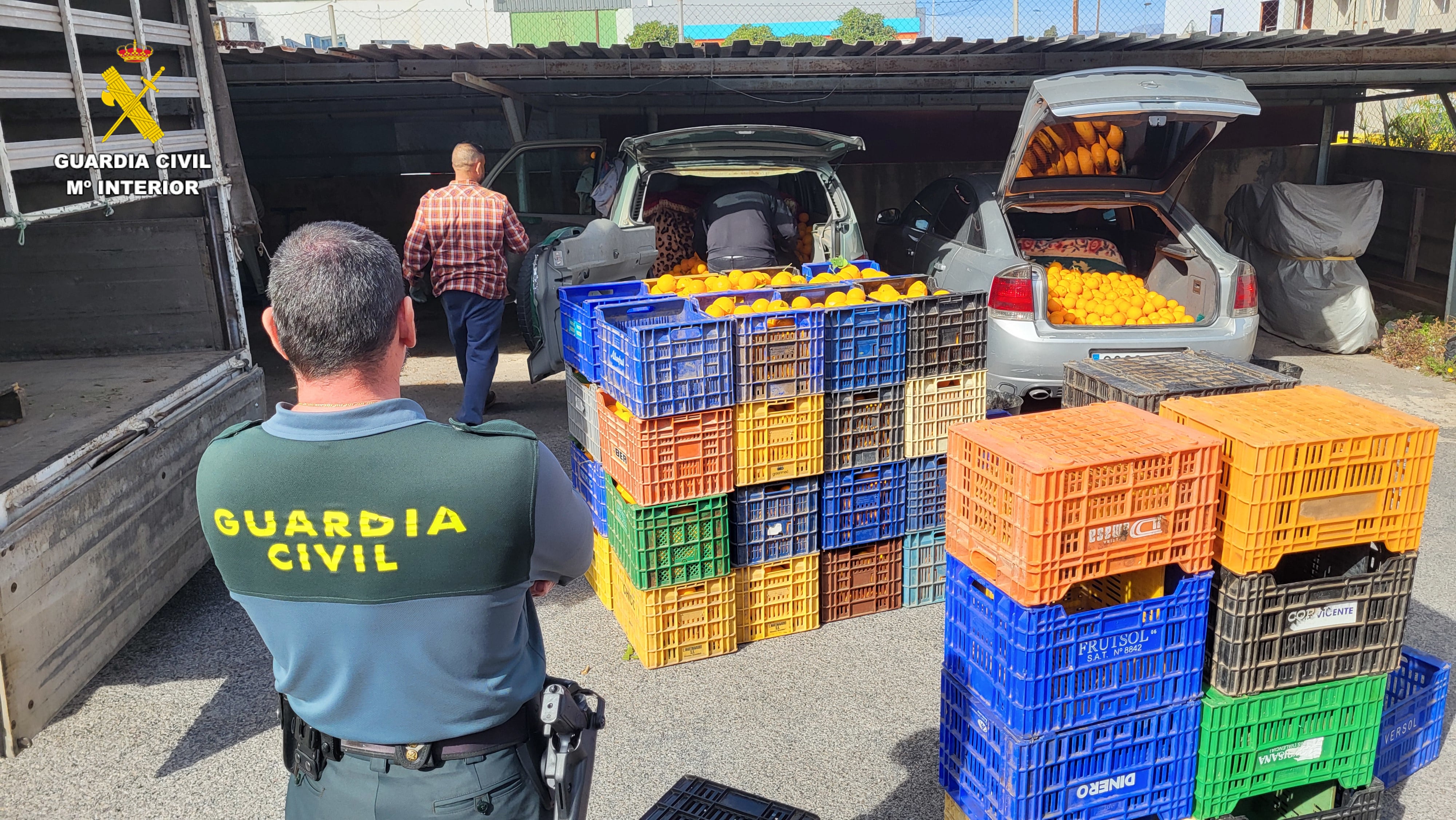 Operación de la Guardia Civil contra el robo de cítricos