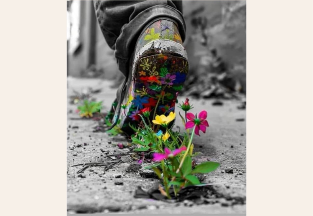 Exposición en la Catedral de Palencia de ENTREDESSIGUALES