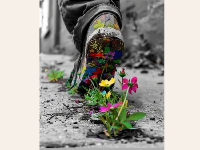Exposición en la Catedral de Palencia de ENTREDESSIGUALES