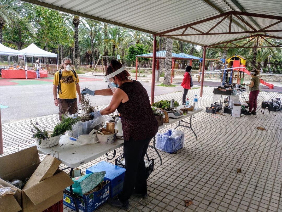 Mercado Ecológico de Elche