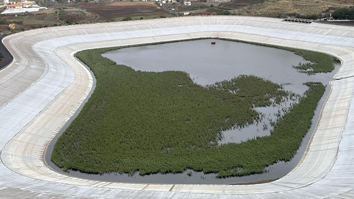 Javier Davara, gerente del Consejo Insular de Aguas: "El sector turístico consume un 10% del agua"