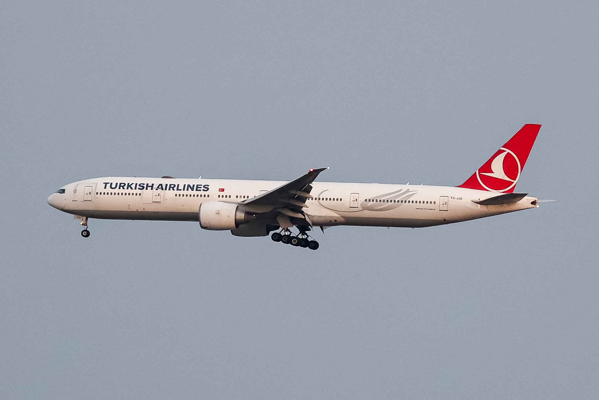 Un avión de Turkish Airlines (Mert Alper Dervis/Anadolu via Getty Images)