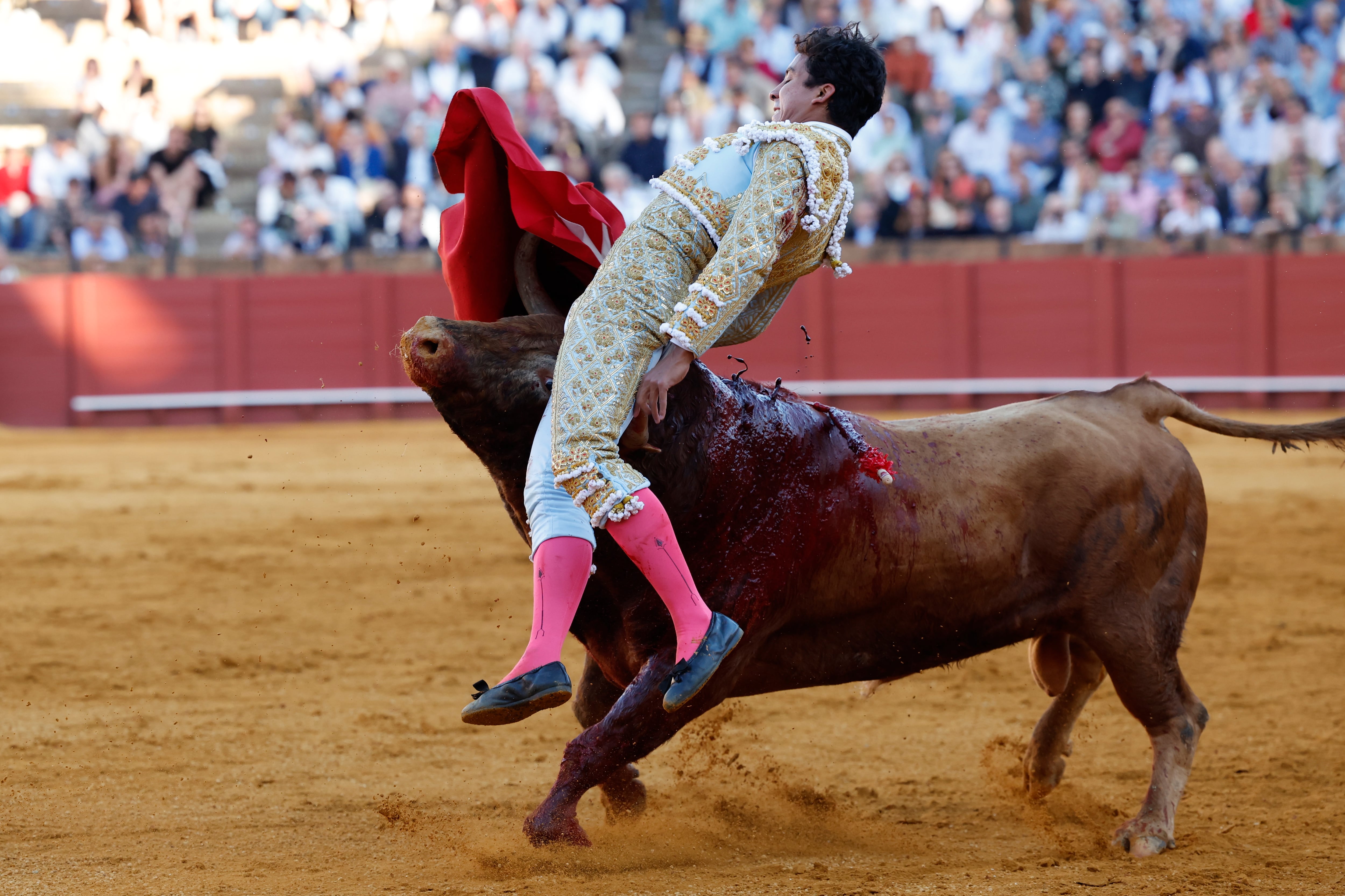 SEVILLA, 09/04/2024.- El torero mexicano Leo Valadez recibe un revolcón de un toro, de la ganadería de Santiago Domecq, durante su faena este martes en la plaza de toros de la Maestranza en Sevilla. EFE/Julio Muñoz
