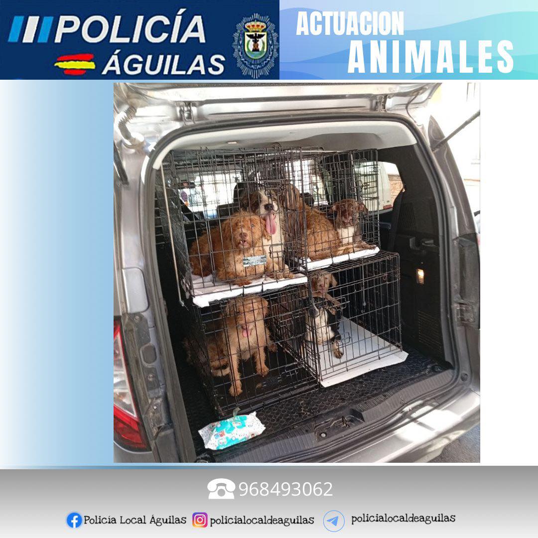 Perros rescatados en Águilas