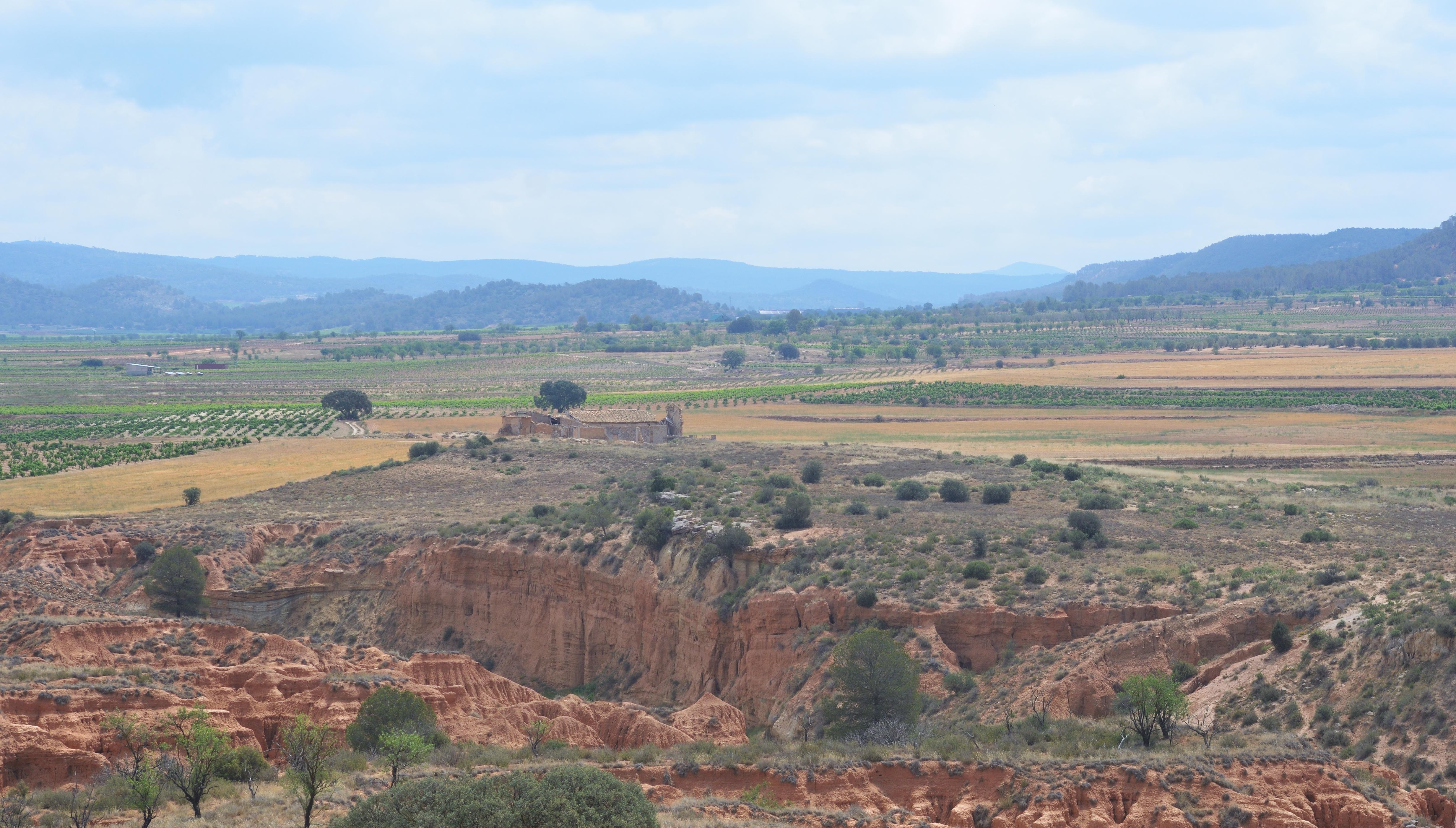 Paisaje de Los Morenos, en la plana de Utiel-Requena donde ha aparecido el yacimiento de neandertales que vivieron allí hace 100.000 años.