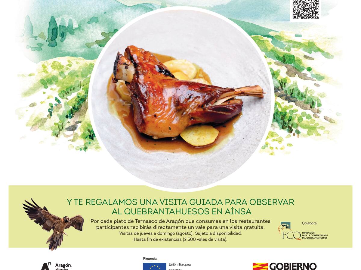 "Ternasco de Aragón" regala visitas guiadas para la observación de quebrantahuesos