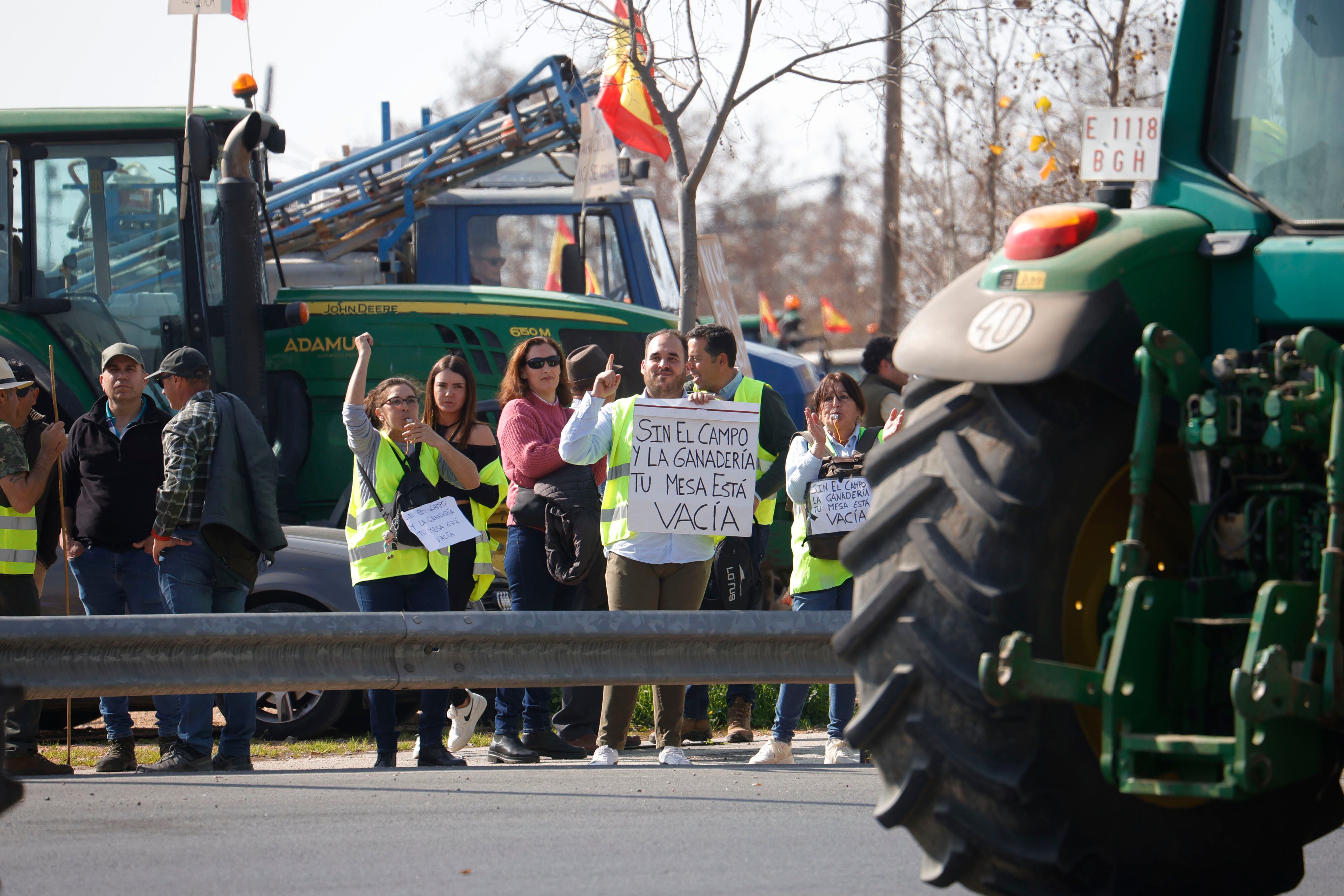 ARCHIVO: Agricultores montados en sus tractores en Córdoba el pasado 6 de febrero. EFE/Salas