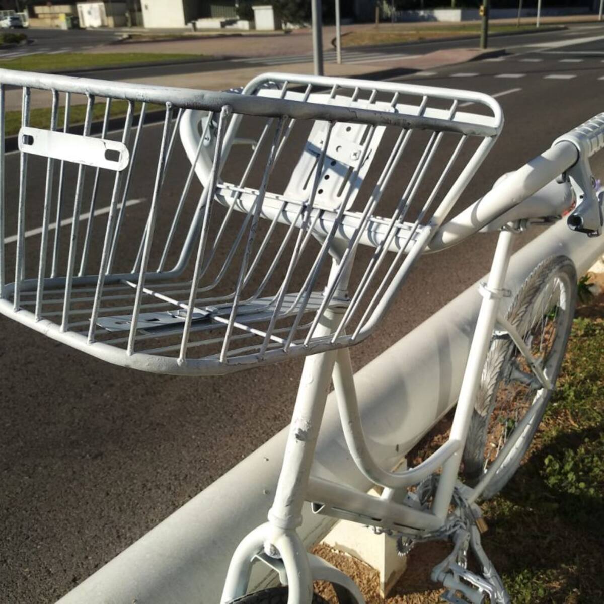 Recuerdan al ciclista de 16 años atropellado mortalmente en Castelló