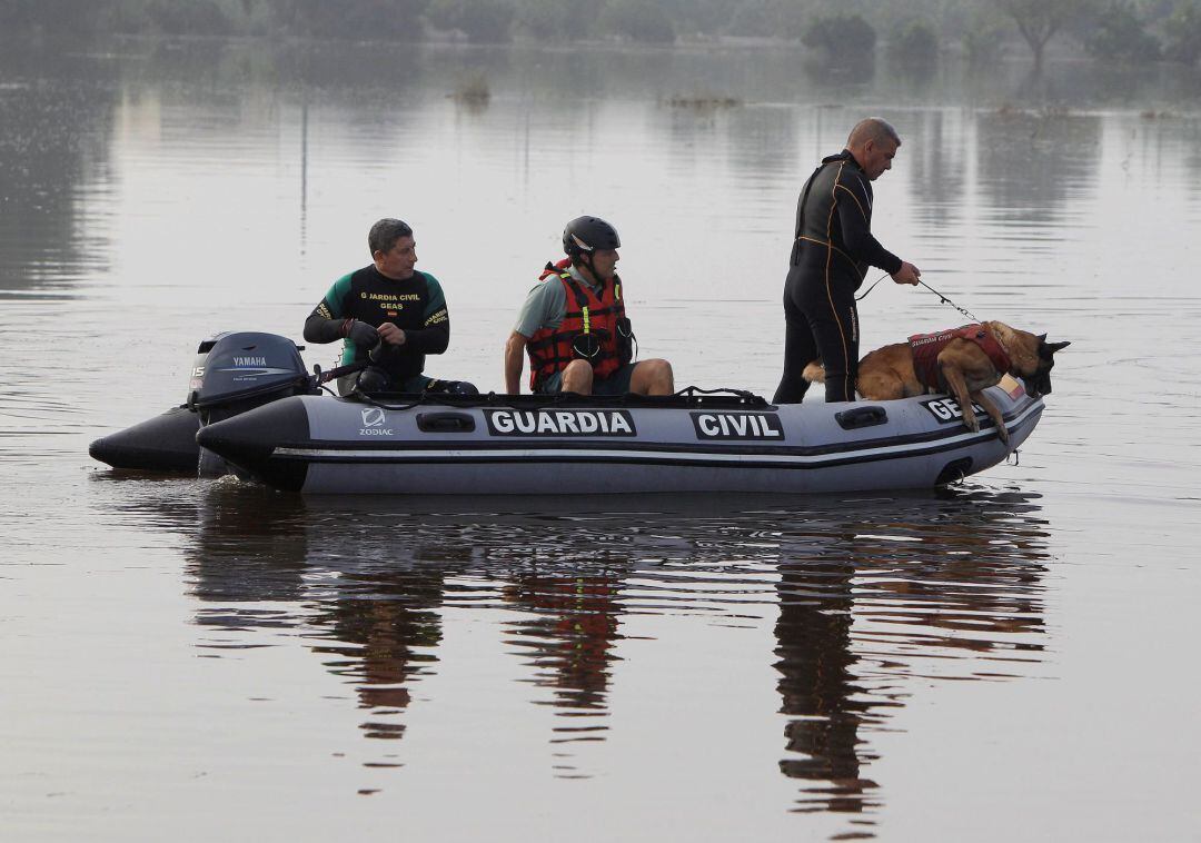 Una unidad canina del Ejército, buzos y un helicóptero de la Guardia Civil participan en la búsqueda del holandés de 66 años que desapareció el pasado domingo al ser arrastrado por el agua en una acequia de Dolores, en la comarca de la Vega Baja (Alicante)