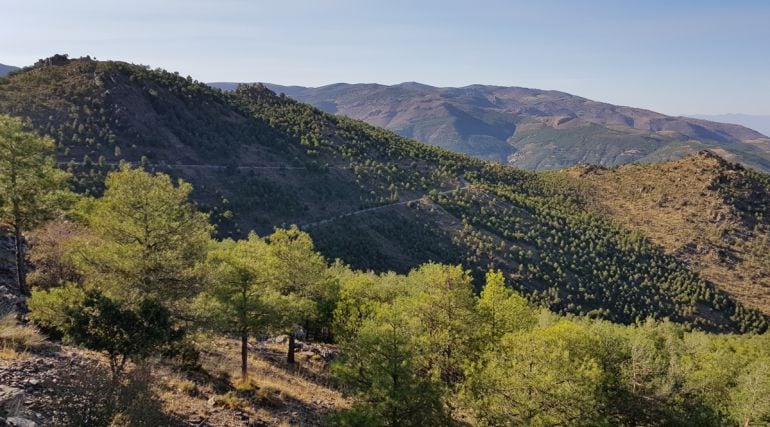 Parque Natural Sierra de Baza (Granada)