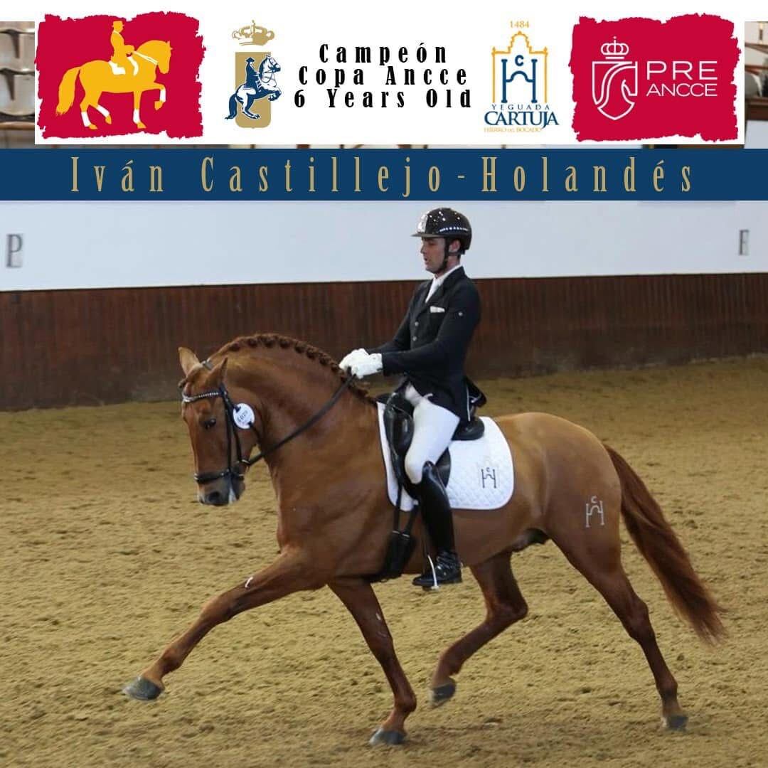Iván Castillejo, jinete de la Real Escuela Andaluza del Arte Ecuestre