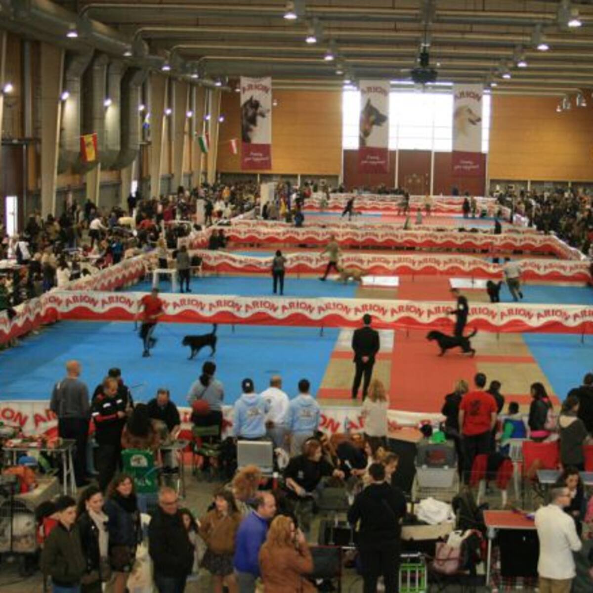 Clausurado con éxito el Salón de la Mascota de Talavera