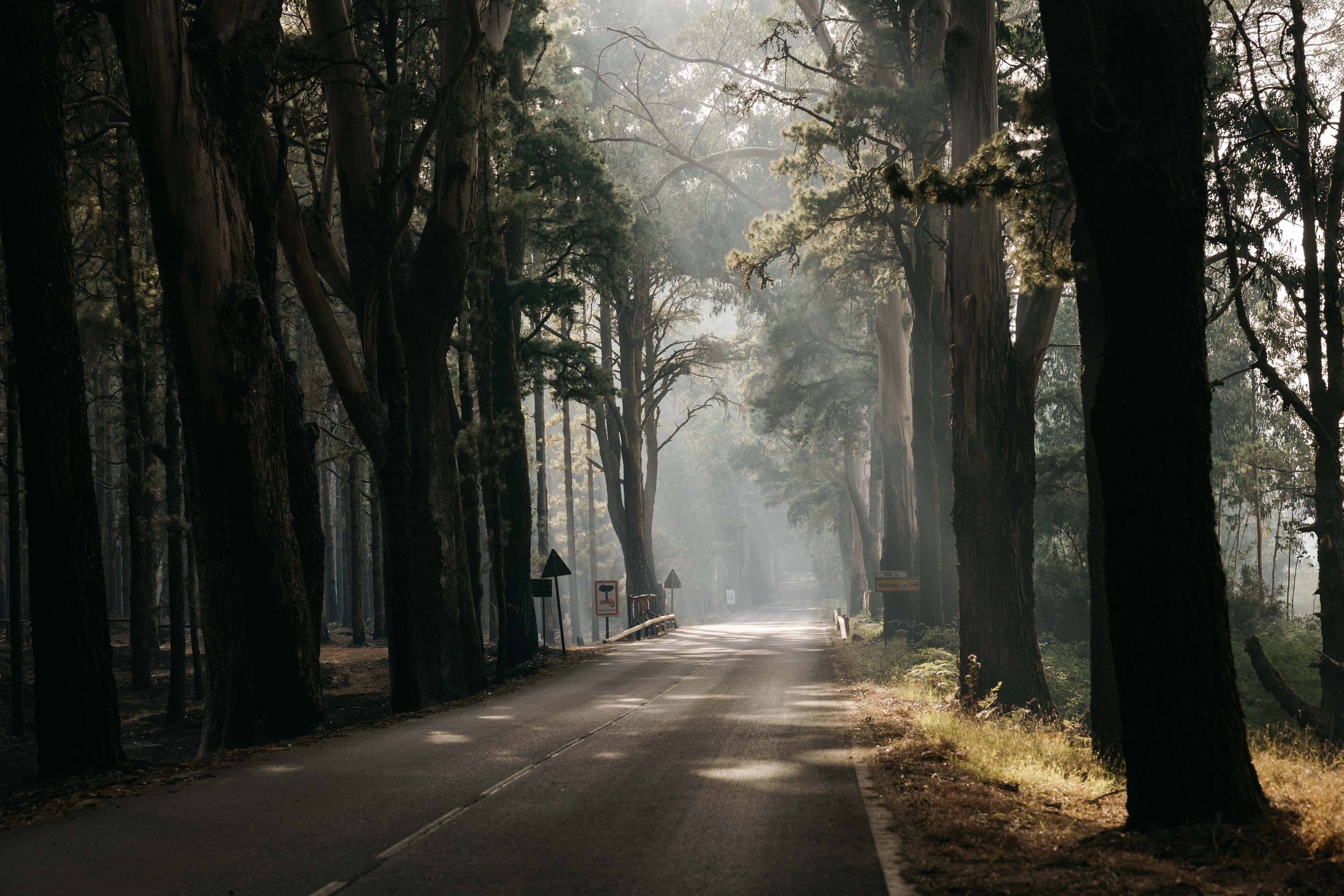 Carretera de acceso al Teide por La Esperanza