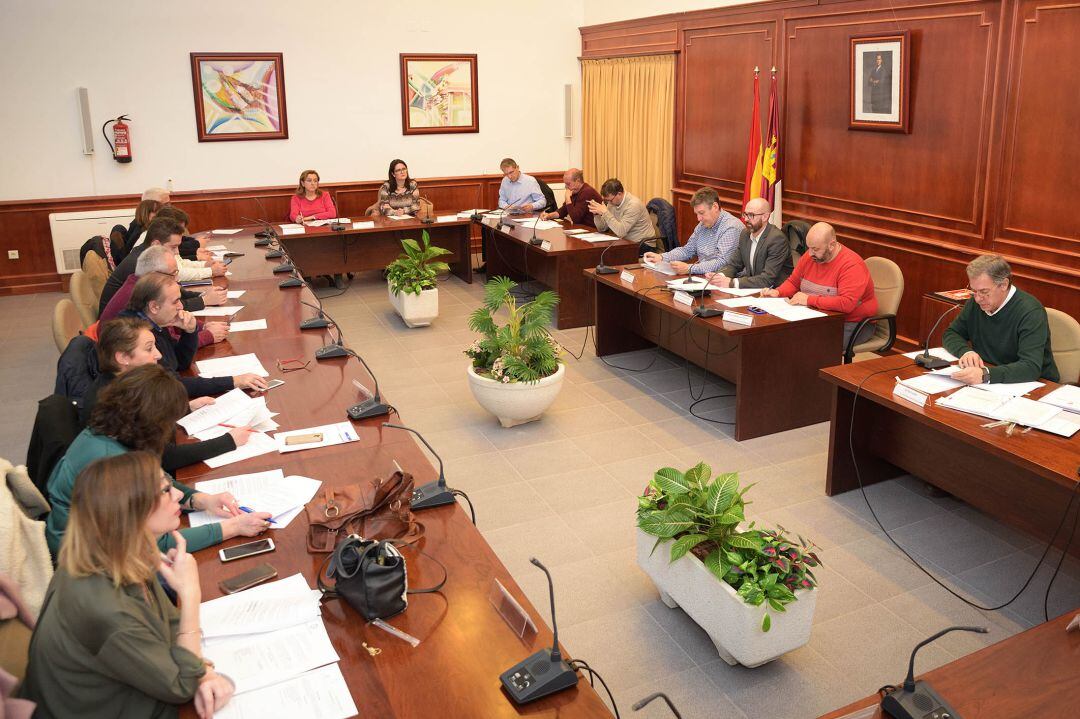 Último pleno de Comsermancha