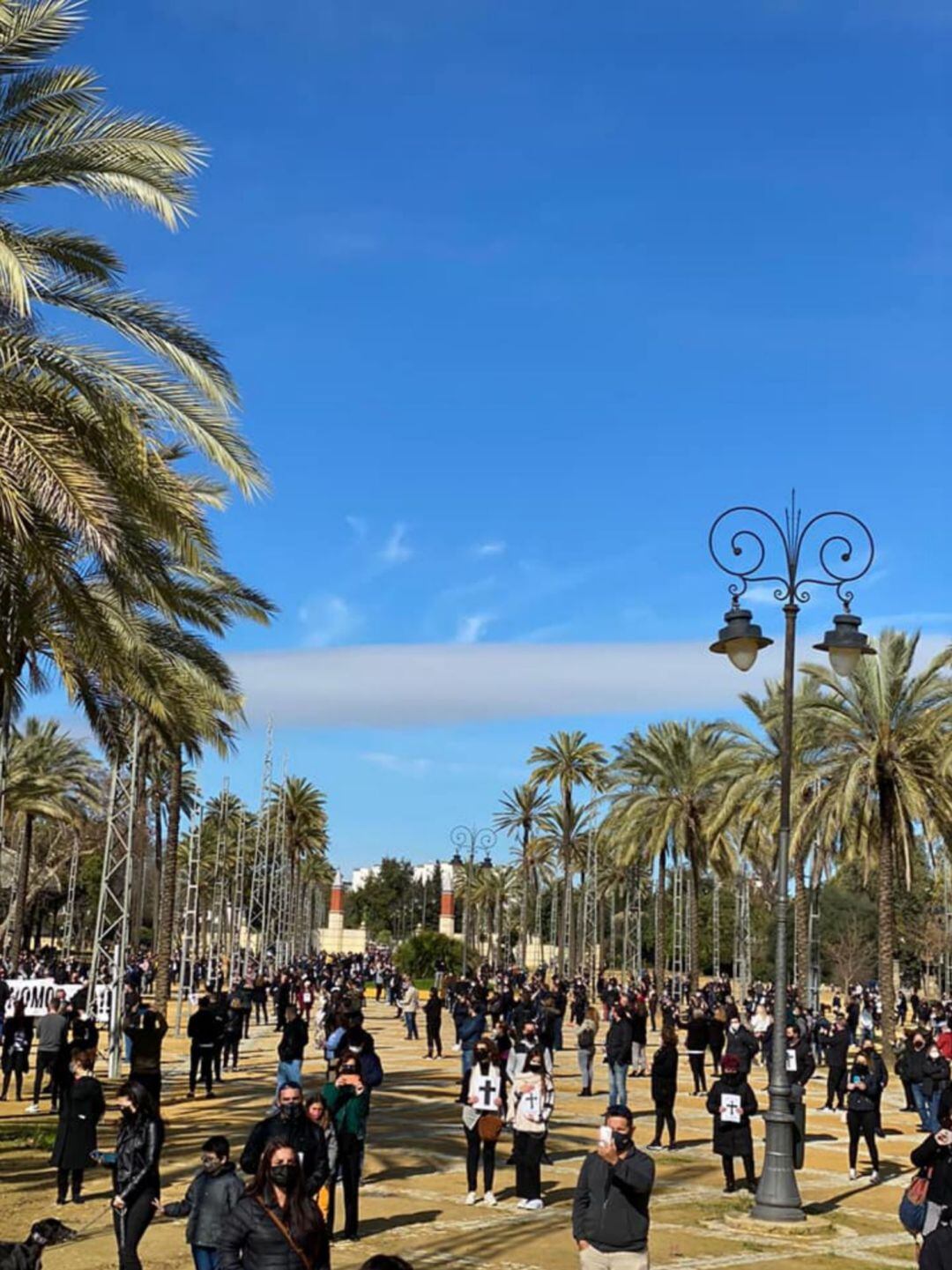 Panorámica de la avenida de las Palmeras durante la concentración