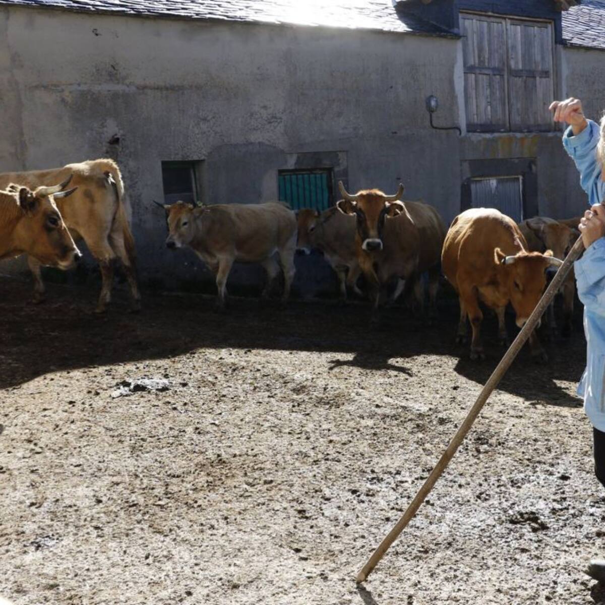 En la Comunidad de Madrid no hay ni una sola explotación agraria en la que una mujer sea titular junto a su marido