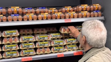 “El huevo se ha encarecido casi un euro por docena”: alerta del alza de precios por la gripe aviar