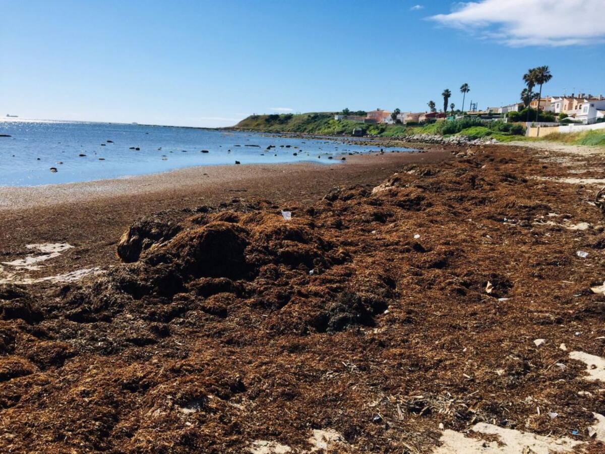 Agaden lamenta el "olvido" del Ayuntamiento con El Chinarral en Algeciras