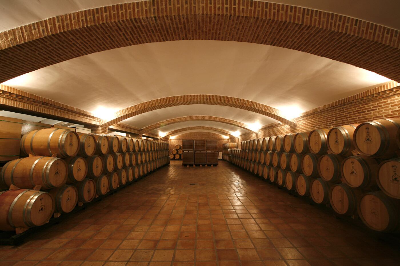 Las instalaciones internas de Bodegas Monteabellón, en Nava de Roa