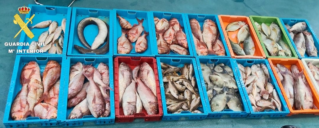 Pescado capturado ilegalmente en la Reserva Marina del Archipiélago Chinijo.