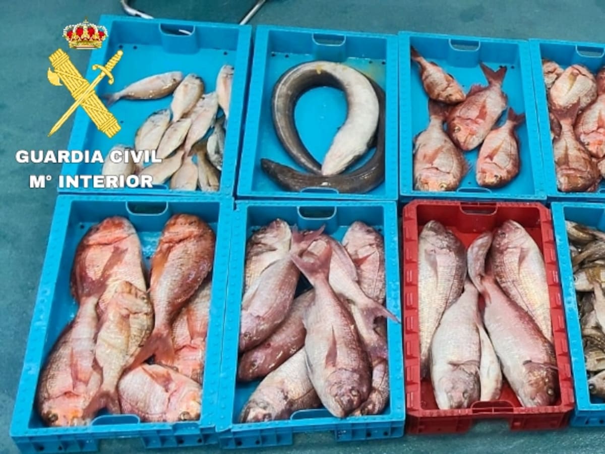 Capturan ilegalmente 230 kilos de pescado en la Reserva Marina del Archipiélago Chinijo