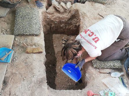 Trabajos de exhumación en la fosa de Almagro