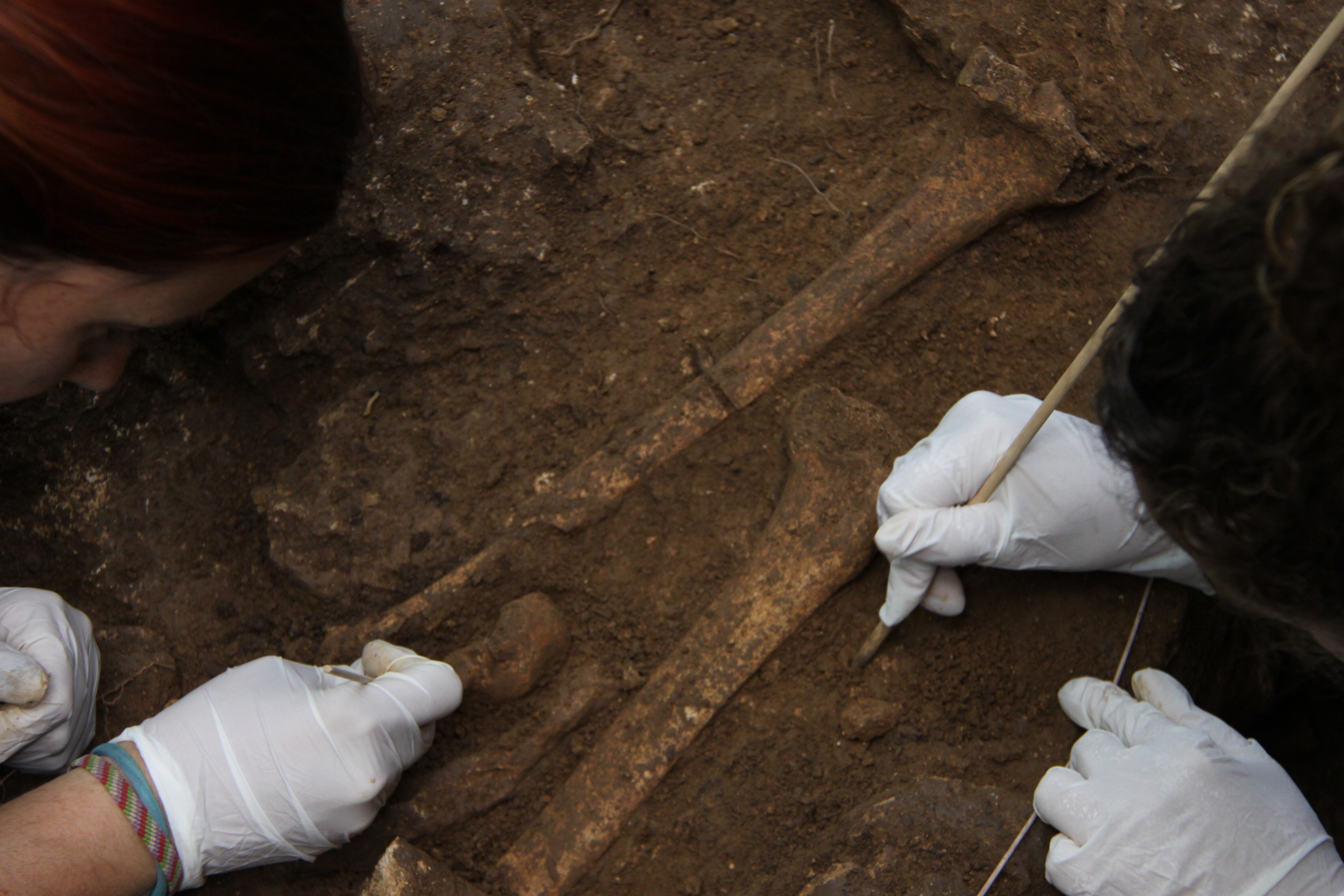 Restes de les coves de Serinyà.