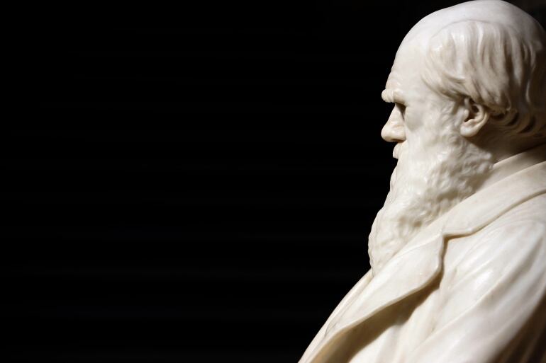 Escultura del científico Charles Darwin