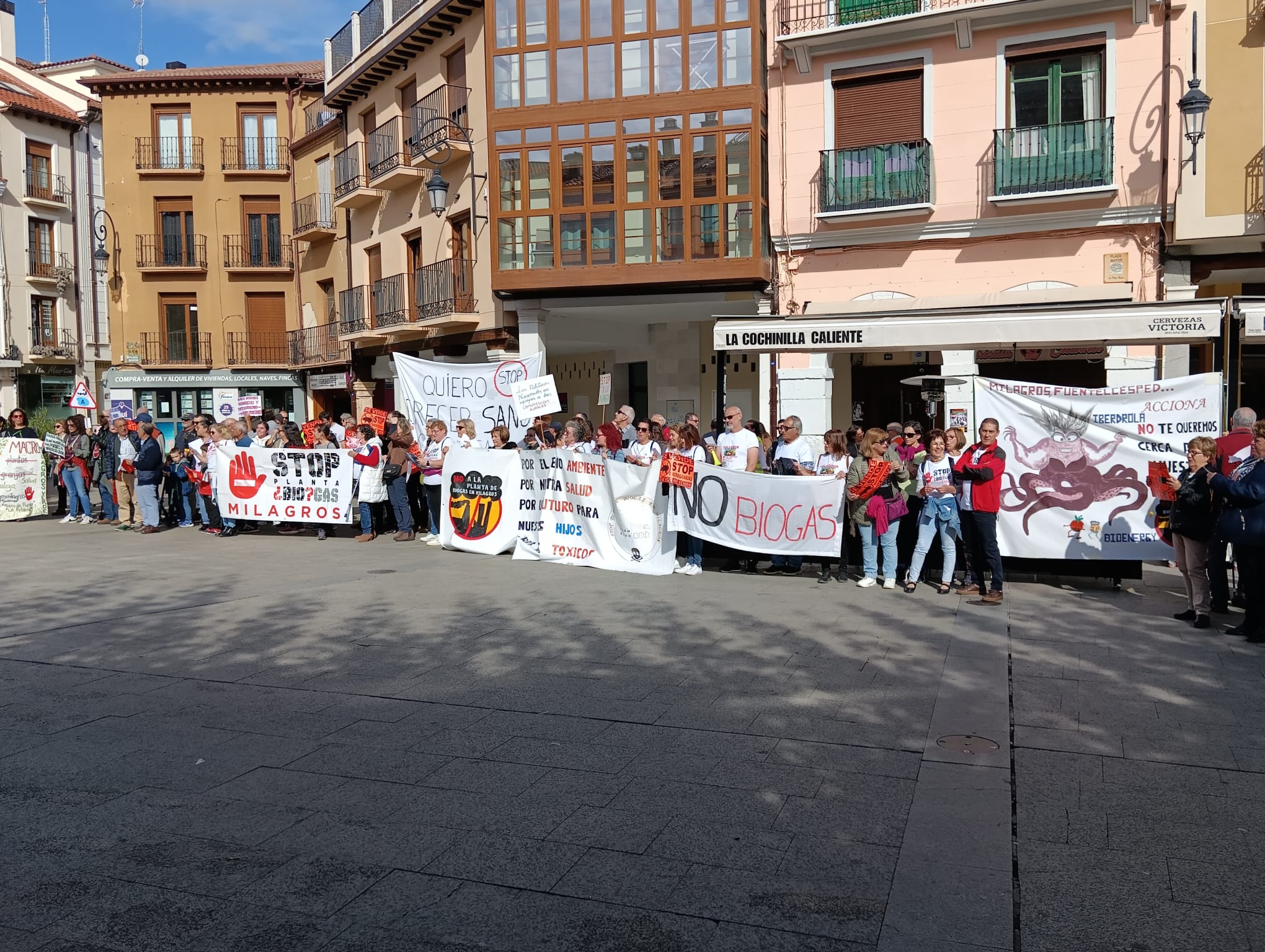 Concentración contra la macrogranja de Fuentemolinos en la Plaza Mayor de Aranda