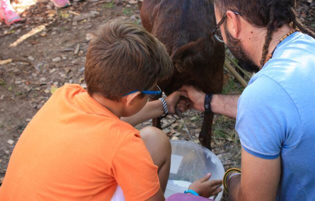 El programa incluye actividades como ordenar cabras.