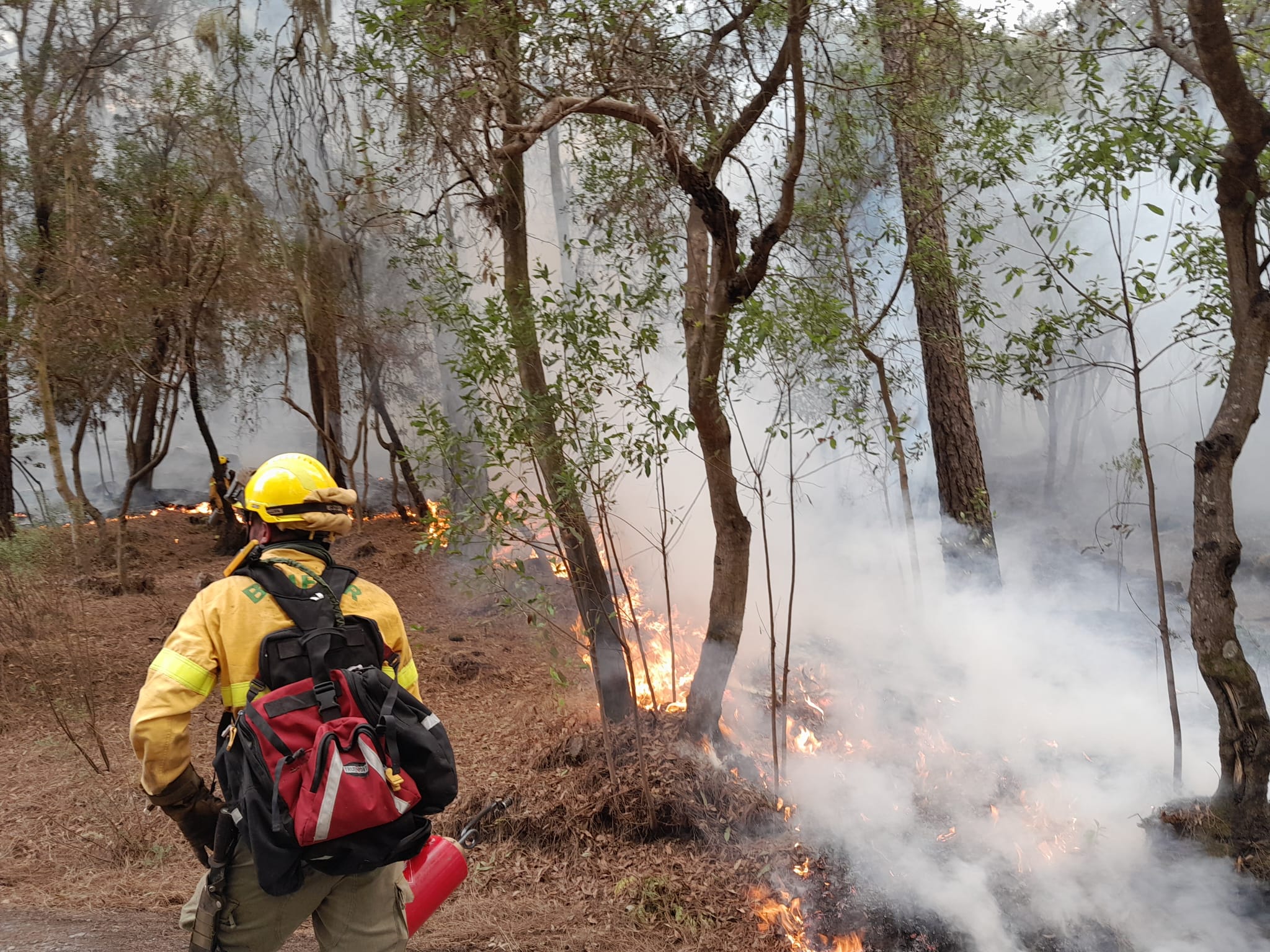 Un operario de la Brigada Forestal realizando labores de extinción