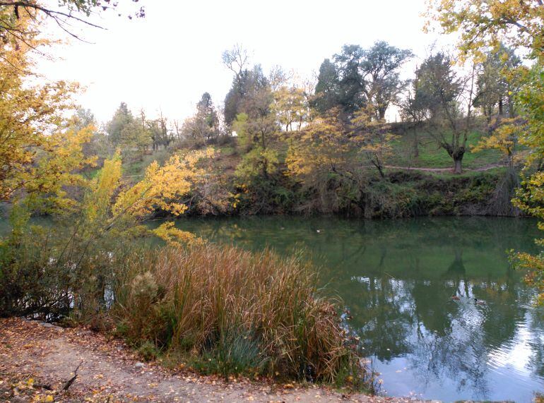 El Manzanares a su paso por El Pardo. 