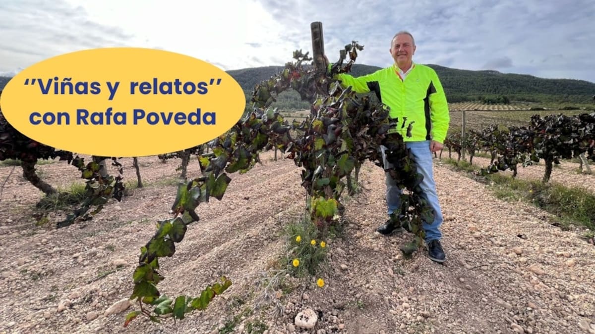 Rafa Poveda, enólogo, reflexiona sobre la Denominación de Origen