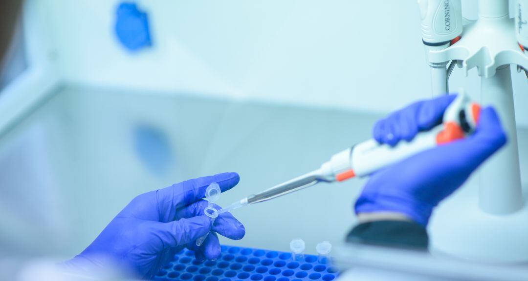 Valladolid acumula la mayoría de nuevos casos