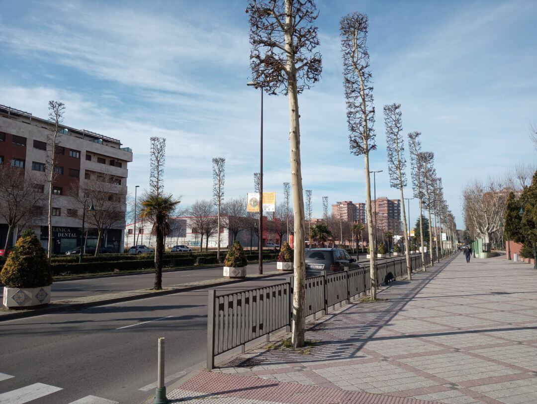 Entrada a Talavera de la Reina