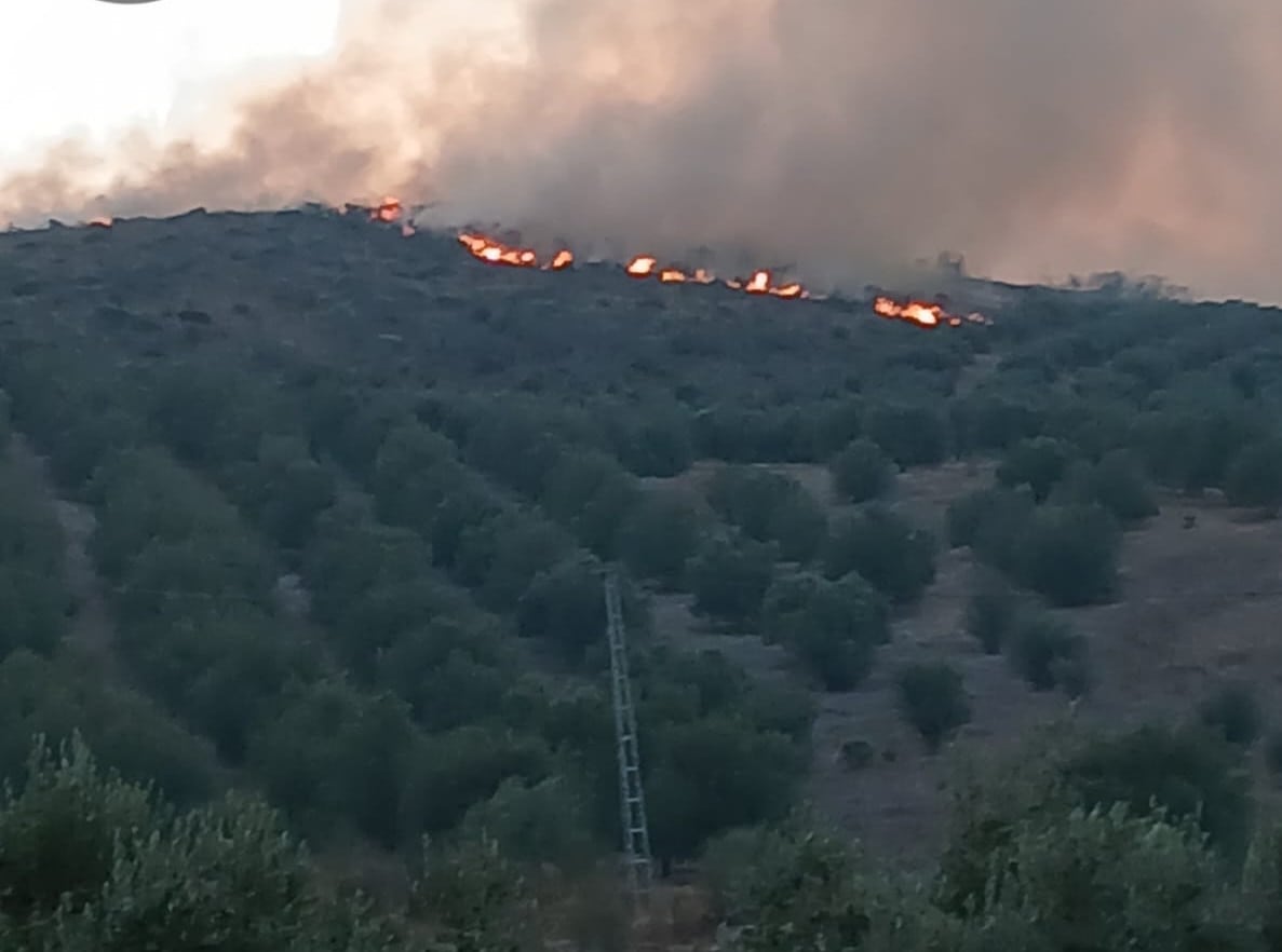 Incendio en Alcaucín