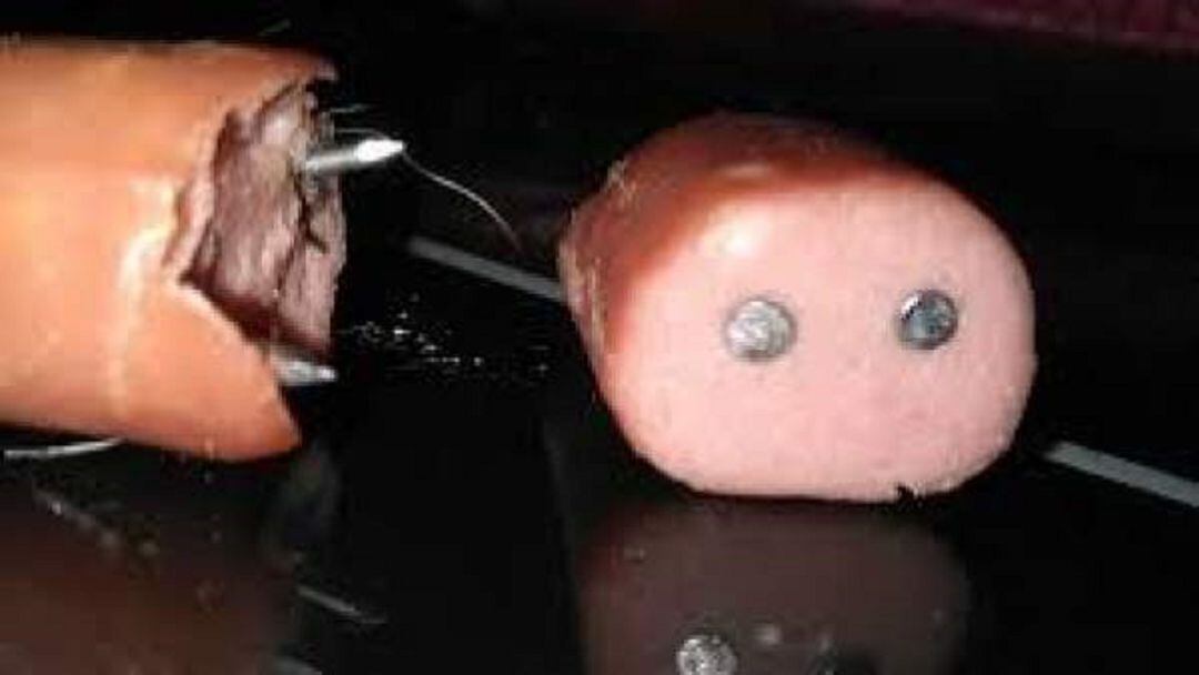 Muestra de una salchicha con clavos incluidos