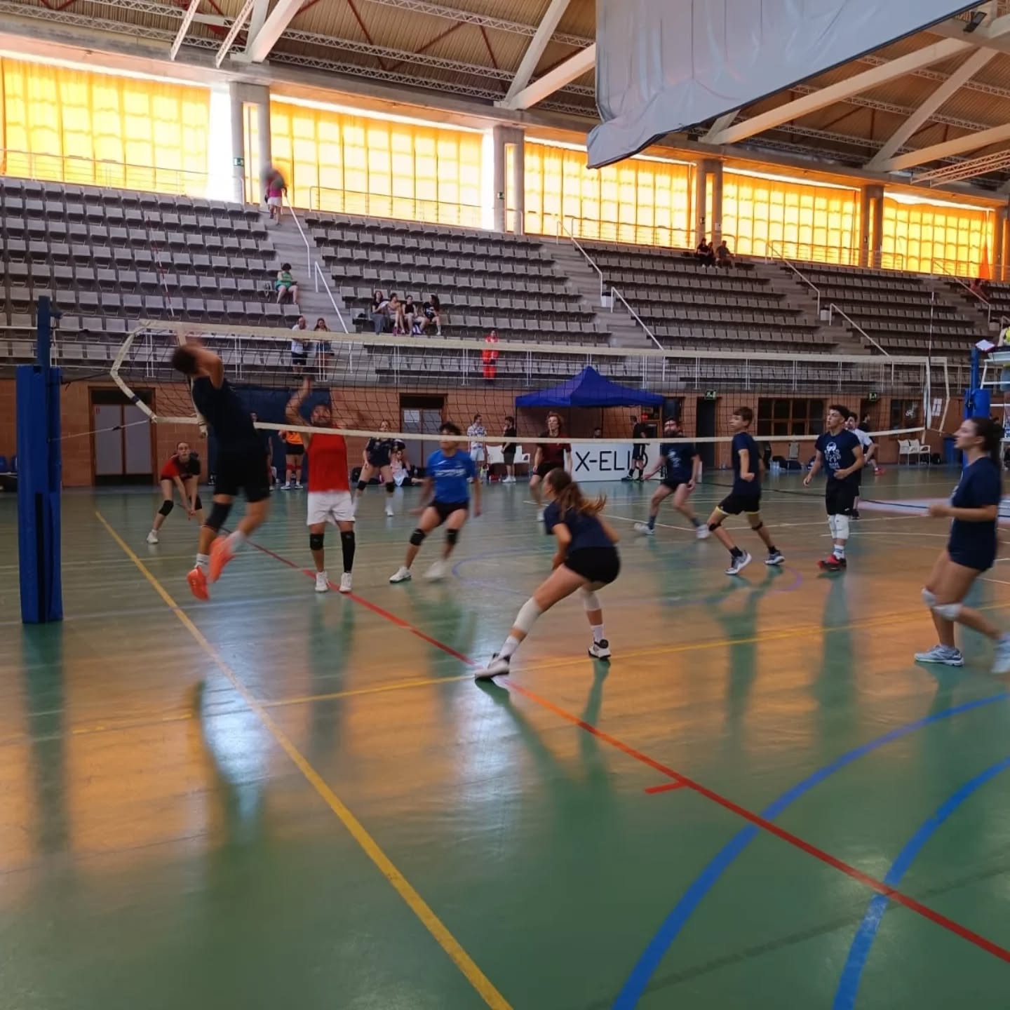 Torneo Alfonso Gandía de Voleibol
