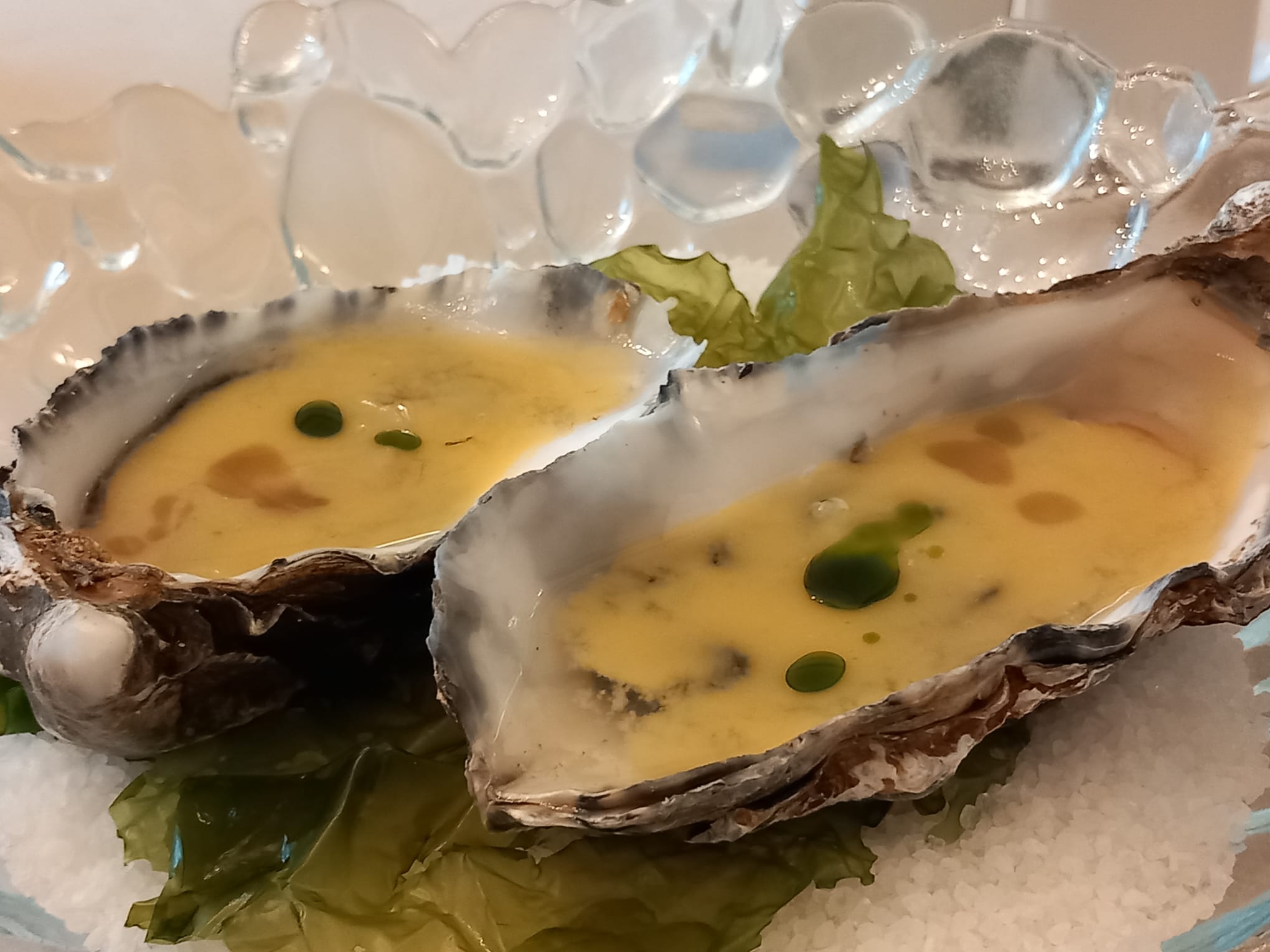 Ostras francesas con licuado de tomate amarillo y chile de jalapeño