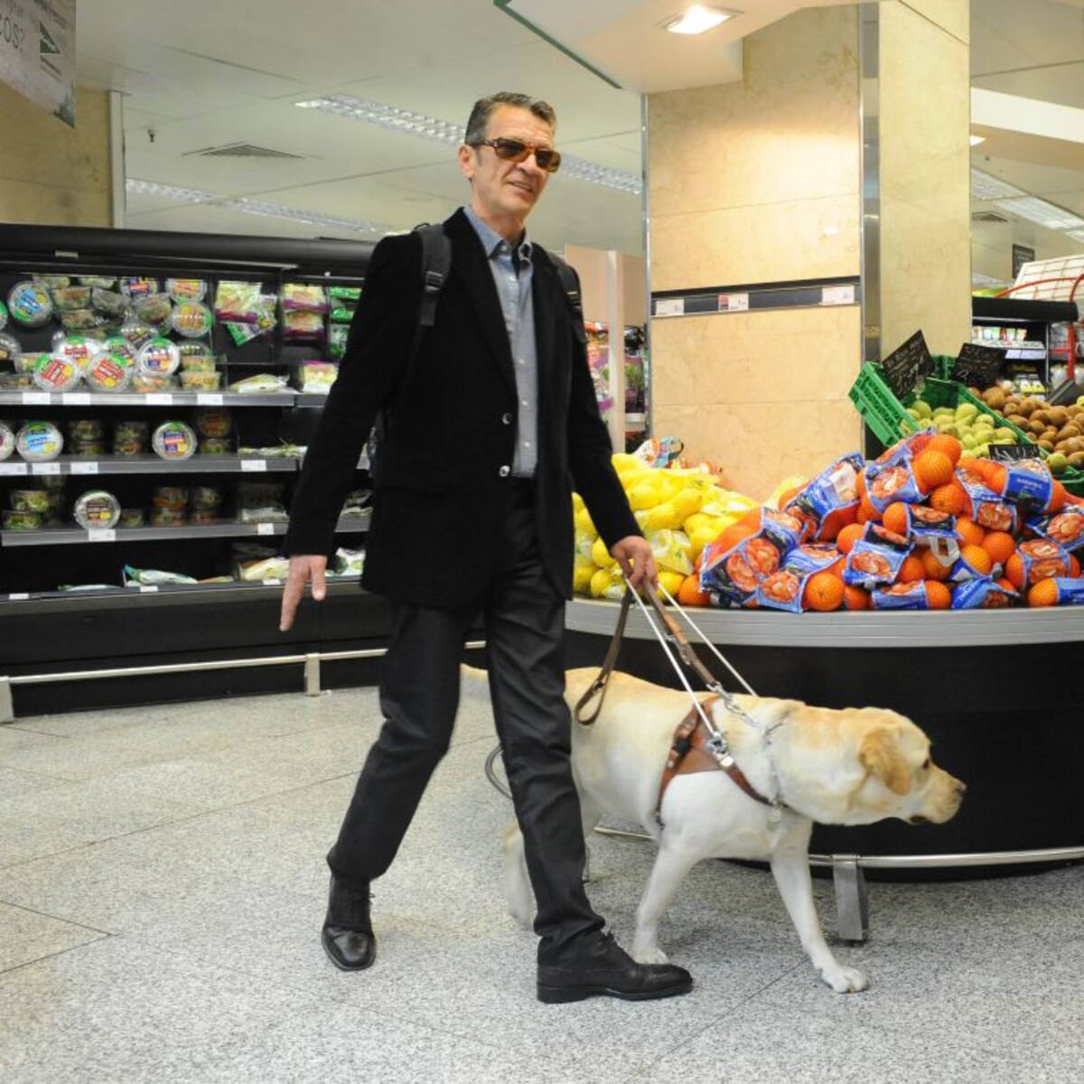 Perros que devuelven la visión